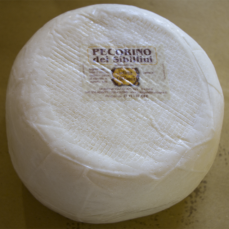 pecorino_fresco