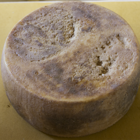 pecorino_secco